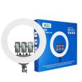 Diameter Ring Light For Professional Video Maker- With 5208 Tripod Stand, Cell Phone Holder Dimmable 3 Light Modes For Live Stream, Makeup, Facebook, Youtube, Instagram,Tiktok, Twitter. 