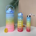 3 in 1 Water Bottles Lock Feature & Top Lid with Times Drink for Office/Home/Sports/outdoor - Water Bottles. 