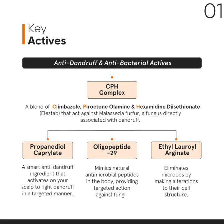 Minimalist%20Anti-Dandruff%20Hair%20Serum%20for%20Scalp%20%7C%20Pre%20Shampoo%20Treatment%20with%20CPH%20Complex%20&%20Oligopeptide%200.8%25%20%7C%20With%20Elestab%20Advanced%20Anti%20Dandruff%20Molecule%20%7C%20For%20Women%20&%20Men%20%7C%2050%20ml%20-%20Image%205