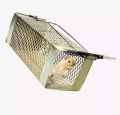 Mouse Rat Rodents Trap, Catcher Museri Iron Made Big Size. 