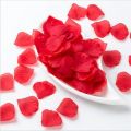 99 Stores Offer -100 PCS Silk Rose Petals – Romantic Flower Petals for Wedding, Valentine’s Day & Special Occasions - Amazing Colors For Amazing Occasions By 99 Stores. 