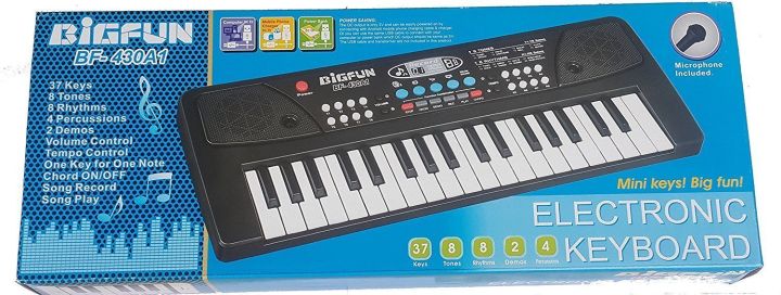 Big%20Fun%20Electronic%20Keyboard%20Bf-430a1%20Piano%20-%20Image%207