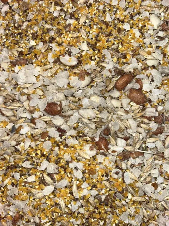 IS%20280%20Grams%20of%20Highly%20Nutritious%20Organic%20Seed%20/%20Seeds%20and%20Grains%20Mix%20Food%20for%20All%20Kinds%20of%20Birds%20/%20Bird%20%7C%20Shell%20Free%20-%20Image%203