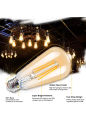 Led Filament Edison Light Bulb Vintage - 4 Watt. 