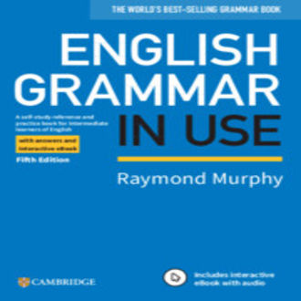 English%20Grammar%20In%20Use:%20Fifth%20Edition%20(Paperback)%20By%20Raymond%20Murphy%20-%20Image%203