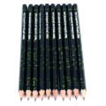 4H Drawing Pencils Set Camlin Total 10 X Pencil , 1 X Eraser & 1 X Sharpener. 