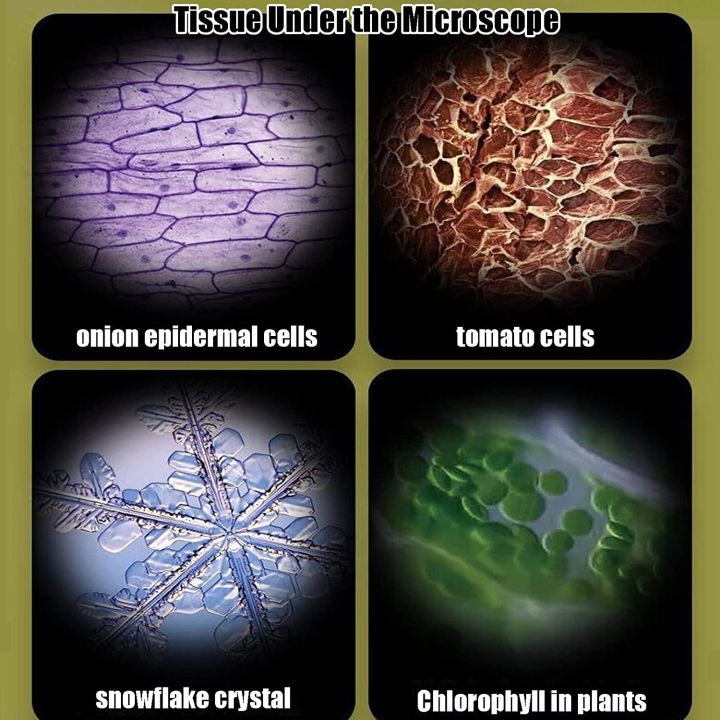 Kid%20Science%20Experiment%20Pocket%20Microscope%20Toy%20Kit%2060-120x%20Educational%20Mini%20Handheld%20Microscope%20with%20Light%20Children%20STEM%20Toys%20Gift%20-%20Image%203