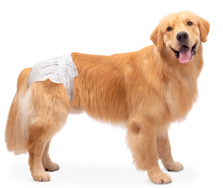 Disposable Dog Diaper | Female Dog Diaper Ultra Protection | Diaper for Dog in Heat, Travel, Excitable Urination or Incontinence - XL Size