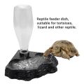 Kqueebee Reptile Water Feeder Automatic Water Dispenser Waterer Feeding Accessories for Turtle Frog Bearded Lizards Geckos for Terrarium Tank. 