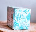 Spearmint Mint Tea Bags | 20 Pure Spearmint Tagless Tea Bags | Aids In Hormonal Balance. 