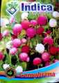 Flower Seeds Of Makhamali - Gomphrena Seeds For Garden And Balcony 50+. 