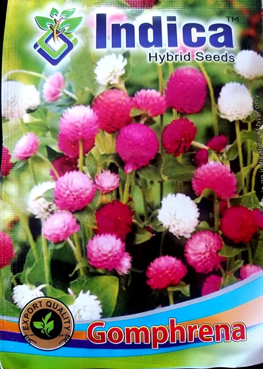 Flower%20Seeds%20Of%20Makhamali%20-%20Gomphrena%20Seeds%20For%20Garden%20And%20Balcony%2050+%20-%20Image%209