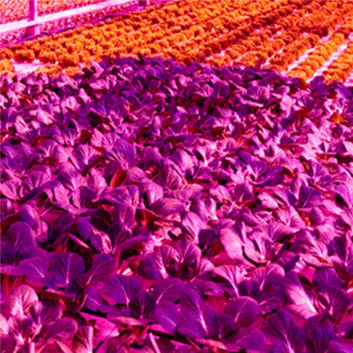 fasdaga%205X%20LED%20Grow%20Light%20Full%20Spectrum%205V%20USB%20Grow%20Light%20Strip%202835%20LED%20Phyto%20Lamps%20100cm%20-%20Image%208