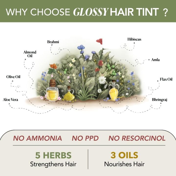 Paradyes%20No%20Bleach%20Velvet%20Burgundy%20Glossy%20Hair%20Tint%20-%20Ammonia-Free%20for%20Formula%20Visible%20on%20Natural%20Black%20Hair,%20Includes%20Anti-Fade%20Conditioner%20for%20Long-Lasting%20Shine,%201%20Count%20-%20Image%208