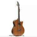 Brown Sqoe DTD Appolo Semi  Acoustic Guitar With Bag. 