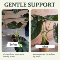 Turtle Shell Bamboo Clamp Set, Plant Stem Plastic Support,Flower-Shaped Green Plant Leaf Holder, Turtle Shell Bamboo A+B. 