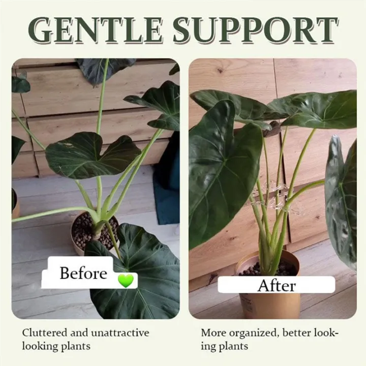 Turtle%20Shell%20Bamboo%20Clamp%20Set,%20Plant%20Stem%20Plastic%20Support,Flower-Shaped%20Green%20Plant%20Leaf%20Holder,%20Turtle%20Shell%20Bamboo%20A+B%20-%20Image%204
