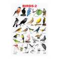 Dreamland Birds-2 Educational Wall Chart. 