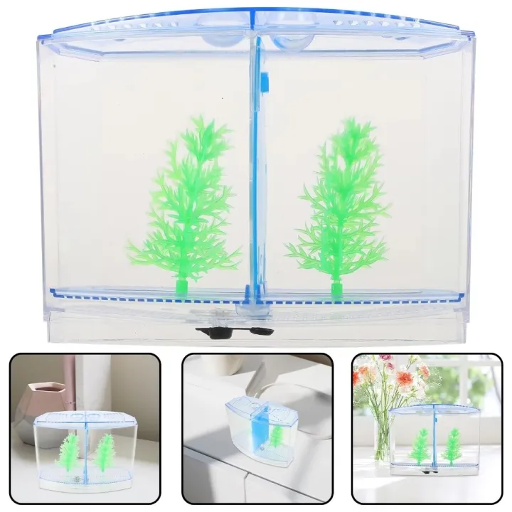 Fish%20Breeding%20Plastic%20Betta%20Isolation%20Box%20Single/Double%20Grid%20Transparent%20Betta%20Fish%20Tank%20Fish%20Breeder%20Box%20Office%20Fish%20-%20Image%204