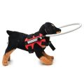 Kqueebee Blind Dog Harness Guiding Device,Blind Dog ,Pet Anti-Collision Ring for Build Confidence,Blind Dog Accessories. 
