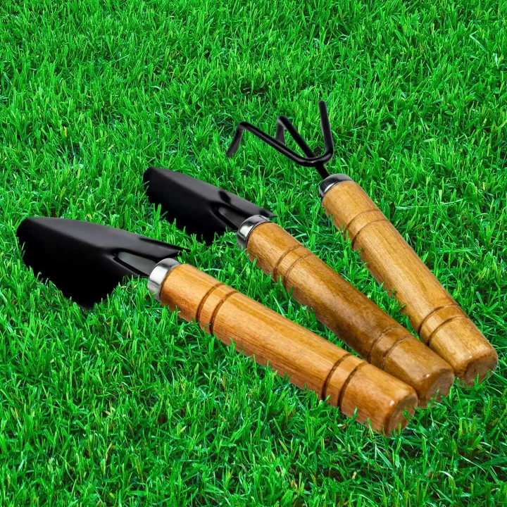 Gardening%20Tools%20Trowel%20Set%20Succulent%20Tools%20Set%20Mini%20Garden%20Tools%20Shovel%20Rake%20Spade%20Bonsi%20Care%20Tools%20Kit%20For%20Seedling%20Soil%203Pcs%20-%20Image%206