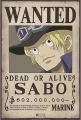 One Piece Wanted Poster Combo Pack 10 Pc A4 Size, One Piece Anime. 