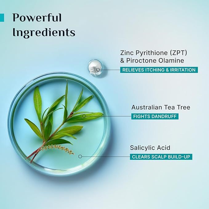 Pilgrim%20Australian%20Tea%20Tree%20Non-Drying%20Anti-Dandruff%20Shampoo%20For%20Prevents%20Dandruff%20Recurrence%20200%20ml%20-%20Image%208
