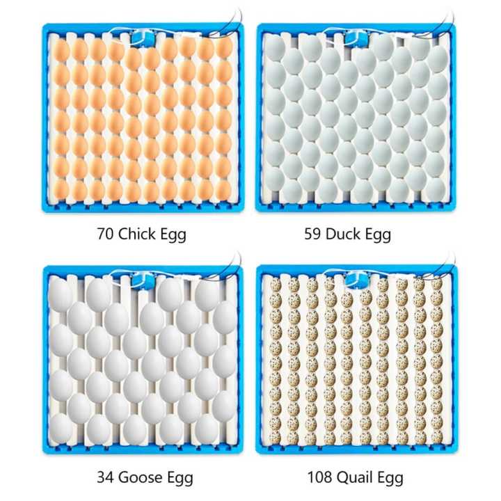 Roller%20Incubation%20Egg%20Tray%20For%20Poultry%20Hatching%20Machine%20Automatic%20Chicken%20Duck%20Goose%20Quail%20Eggs%20Incubator%20-%20Image%202