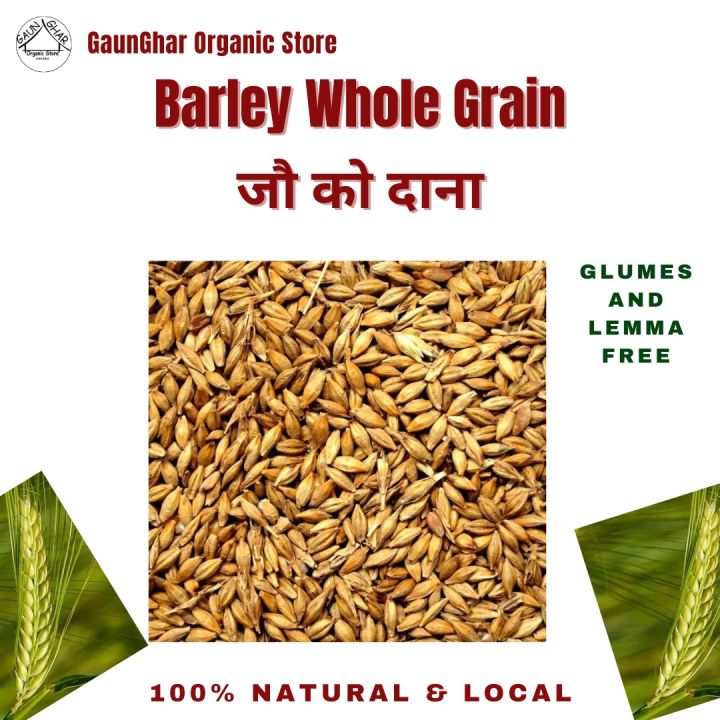 Barley Whole Grain 1 Kg