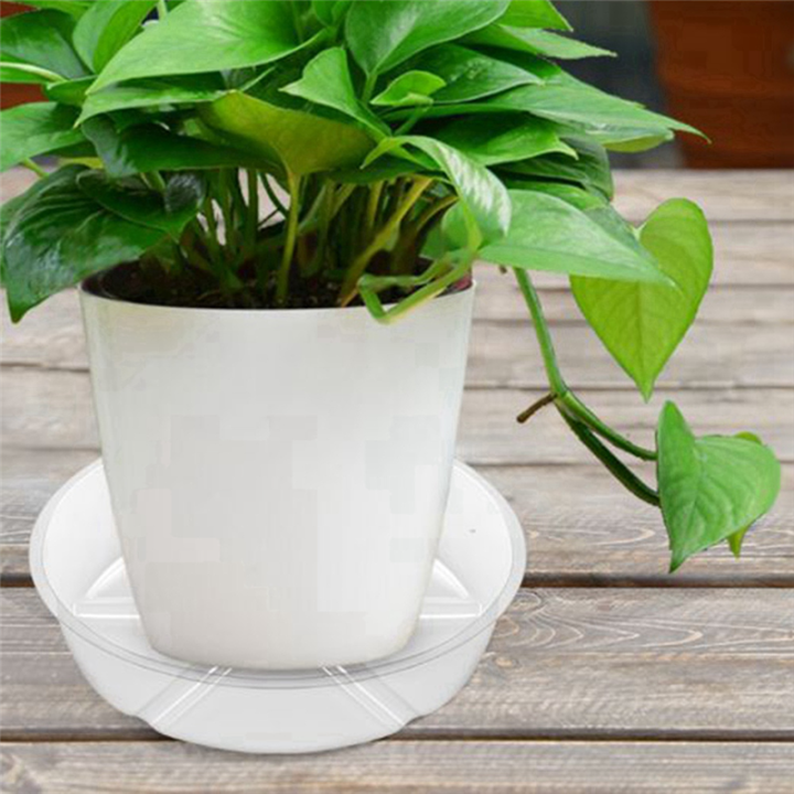6%20Pack%20Clear%20Plant%20Saucer%2012%20Inch%20Plastic%20Plant%20Saucers%20Thicker%20Plant%20Tray%20Flower%20Pot%20for%20Indoor%20Outdoor%20Garden%20Easy%20Install%20-%20Image%207