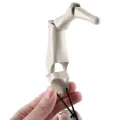 1 Set White Plastic Halloween Articulated Finger Realistic Skeleton Hands Finger Glove. 