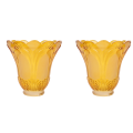 fasdaga 2X Ceiling Fan Chandelier Frosted and Clear Glass Light Lamp Shade Replacement. 