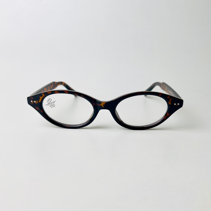 Chasma%20Ghar%20-%20Retro%20Oval%20-%20Image%203