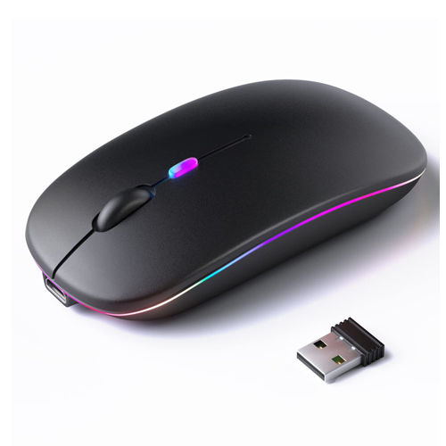 Dual Rechargeable Bluetooth and 2.4G Wireless Mouse 2 in 1 Mouse
