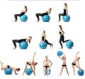 Gym Exercise Ball For Fitness, Stability, Gym, Balance And Yoga, Yoga Ball Chair, Balance Ball And Pump. 