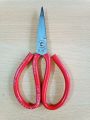 Gardening Scissor For Cutting Plant Parts 6 Inches Big. 