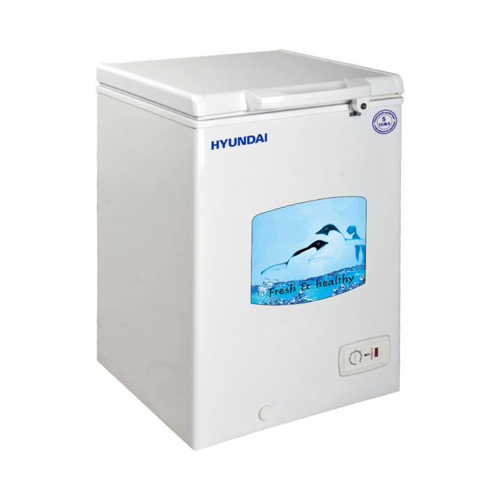 Hyundai%20150%20L%20Hard%20Top%20Chest%20Freezer%20%7C%20BD150AF%20(HYU150)%20-%20Image%203