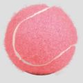 NXFDSIOZ 24Pcs Pack Pink Tennis Balls Wear-Resistant Elastic Training Balls 66mm Ladies Beginners Practice Tennis Ball for Club. 