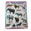 Wild & Domestic Animals Chart No. 6- 12" x 24 ". 