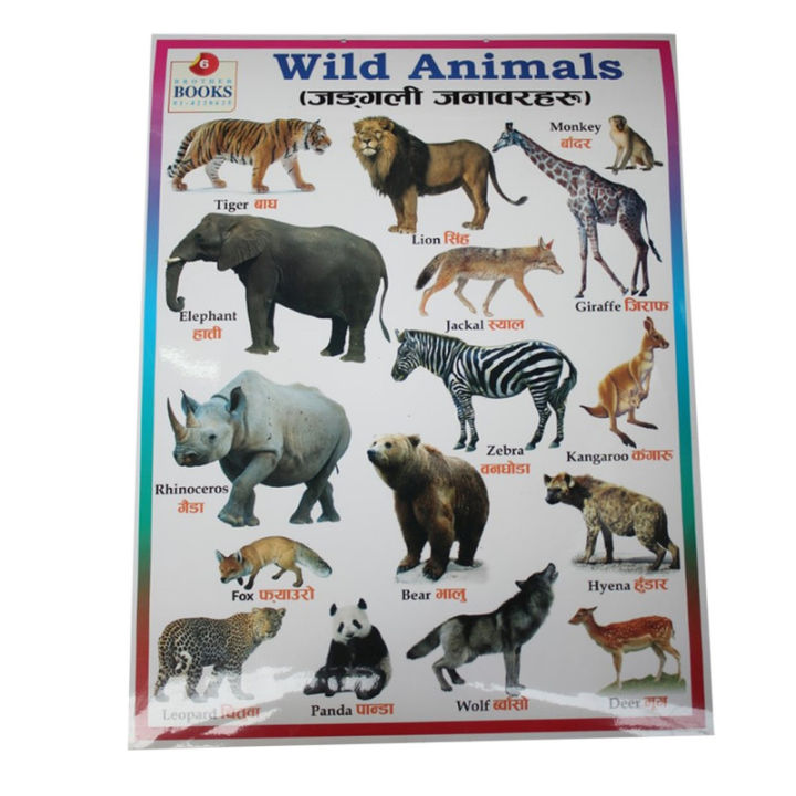 Wild & Domestic Animals Chart No. 6- 12" x 24 "