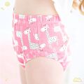 Washable Panty Diaper For Kids 4pcs. 