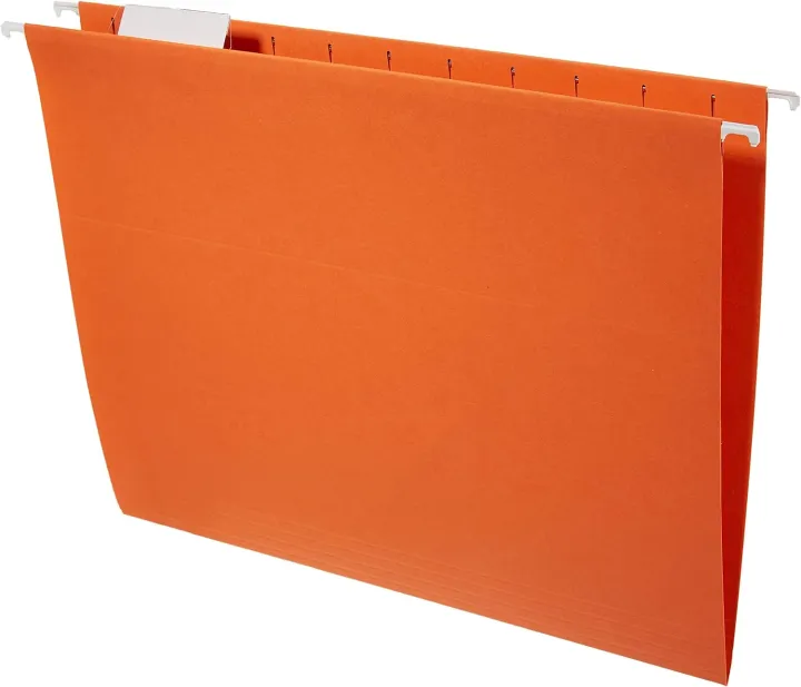 Hanging%20File%20/Suspension%20File,%20Hanging%20Organizer,%20File,%20Folder,%20Assorted%20Colour%20,%2012%20pcs%20Sets.%20-%20Image%206