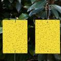 Yellow Insect Sticky Fruit Fly Trap - 2pcs. 