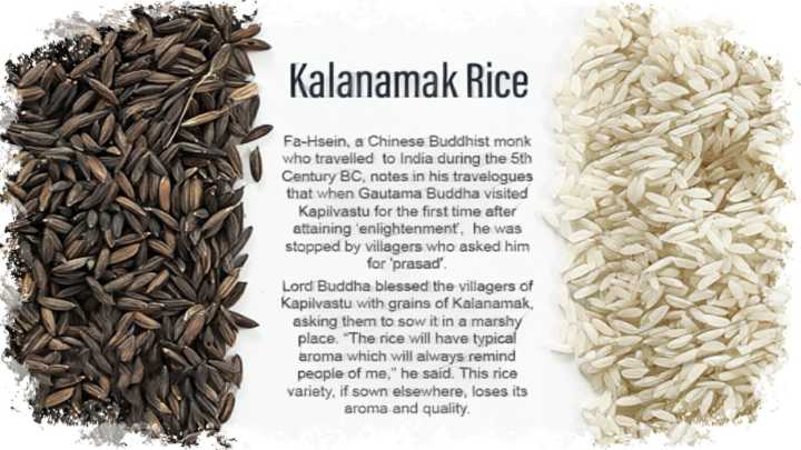 Local%20Kalanamak%20Rice%205%20Kg%20-%20Image%202