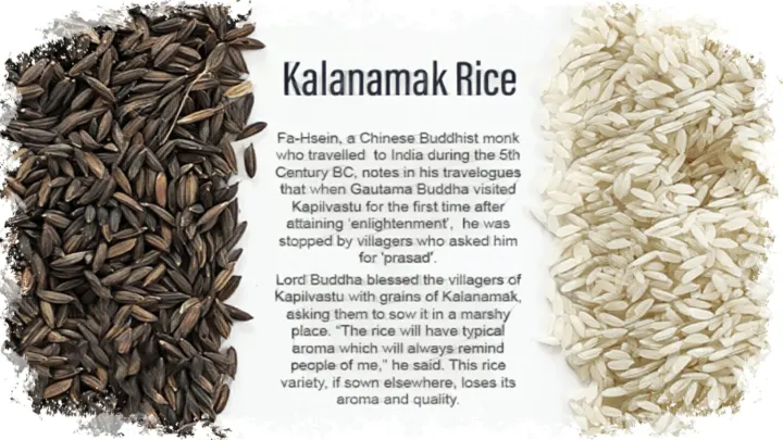 Local%20Kalanamak%20Rice%201%20Kg%20-%20Image%202