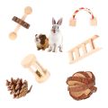 NAMUNY 10 Pcs Set Hamster Chew Toys Natural Wooden Gerbils Rats Chinchillas Toys Accessories Dumbbells Exercise Bell Roller Teeth Care Molar Toy For Guinea Pig Bunny Rabbits. 