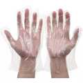 500Pcs Disposable PE Gloves Bulk Cooking Gloves Kitchen Gloves Food Prep Gloves | Multi Use Disposable Gloves - 500 Pcs. 