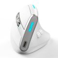ZELOTES F-36 Wireless Vertical 2.4G Bluetooth Mouse Full. 