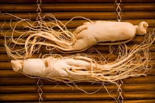 Ginseng-80%20Weight:%2090x500mg%20(especially%20Panax%20ginseng%20and%20American%20ginseng)%20-%20Image%203