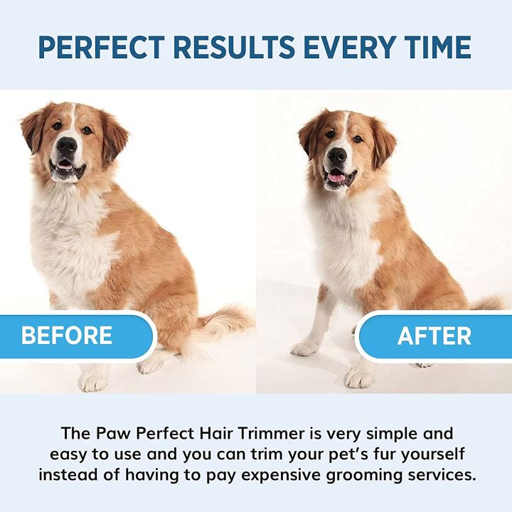 Pawperfect%20Bell%20+%20Howell%20Rechargeable%20Pet%20Nail%20Rotating%20File%20For%20Dogs,%20Cats,%20And%20Other%20Small%20Animals%20As%20Seen%20On%20Tv%20-%20Image%205